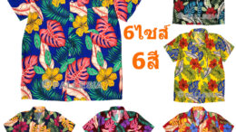 เสื้อลายดอก 6สี 7ไซส์ S-4XL เสื้อเชิ้ตฮาวาย สีสันสดใส Hawaiian Shirt HW290